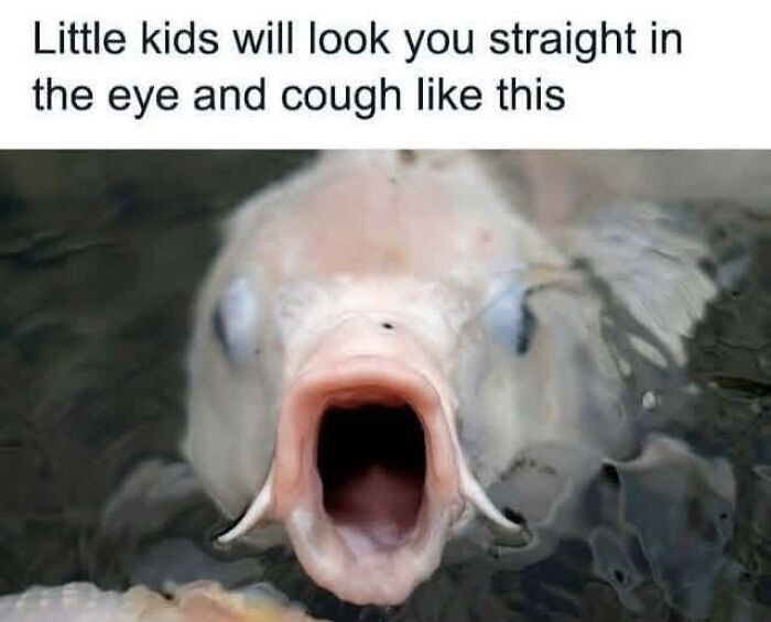 80 Hilariously Relatable Memes That Put Our Everyday Thoughts On Display