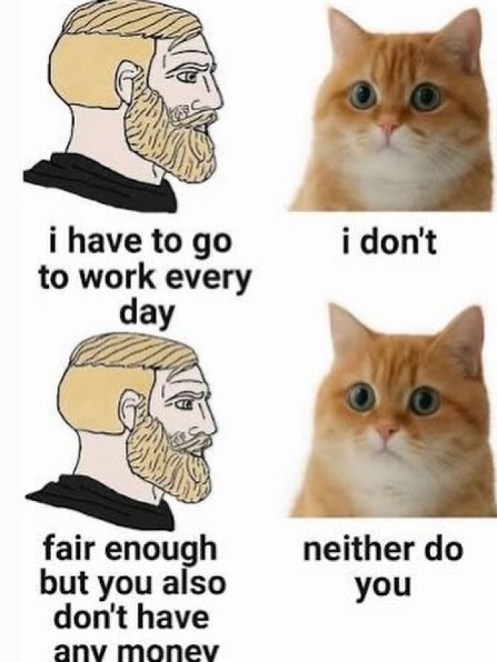80 Hilariously Relatable Memes That Put Our Everyday Thoughts On Display
