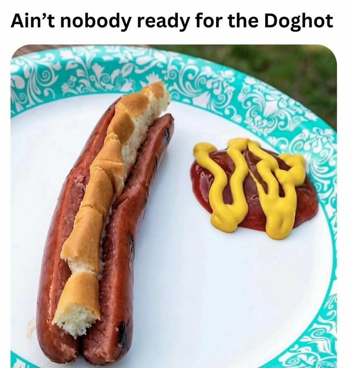 80 Hilariously Relatable Memes That Put Our Everyday Thoughts On Display