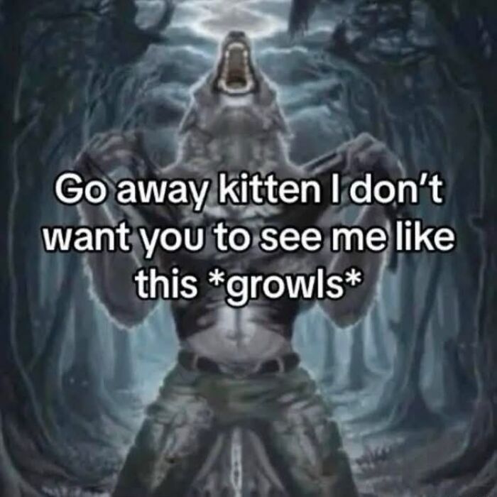 80 Hilariously Relatable Memes That Put Our Everyday Thoughts On Display