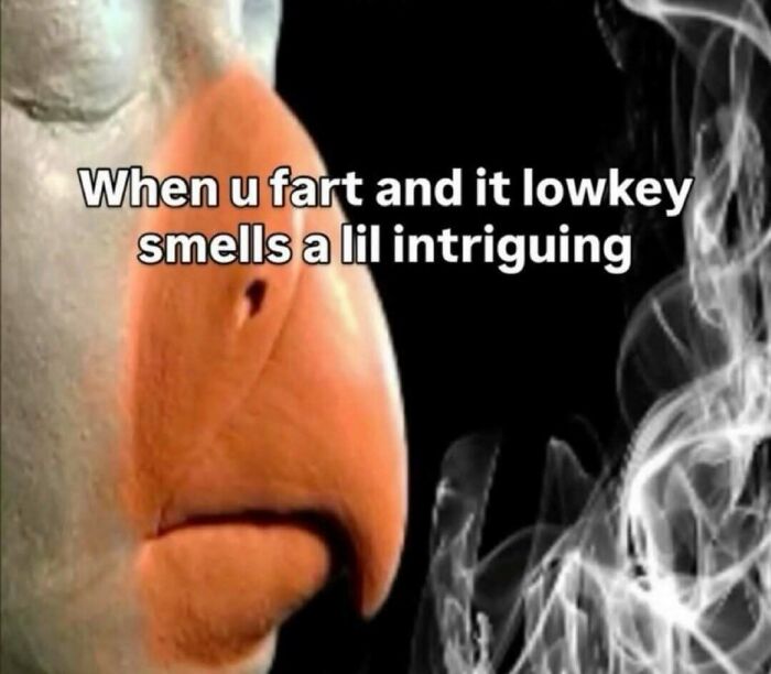 80 Hilariously Relatable Memes That Put Our Everyday Thoughts On Display