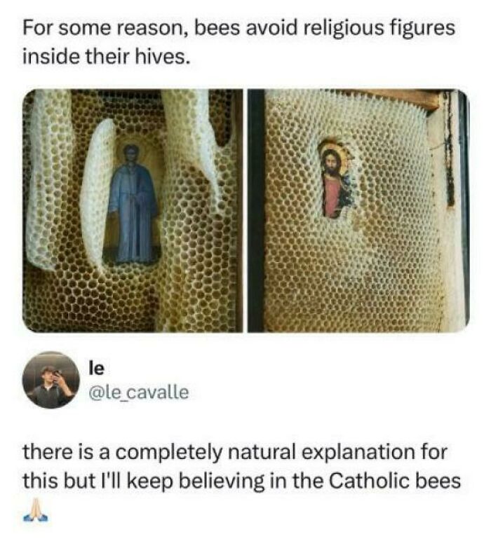 69 People Who Completely Missed The Point Of A Joke, And The Explanations Were Priceless (New Pics) 69 People Who Completely Missed The Point Of A Joke, And The Explanations Were Priceless (New Pics)