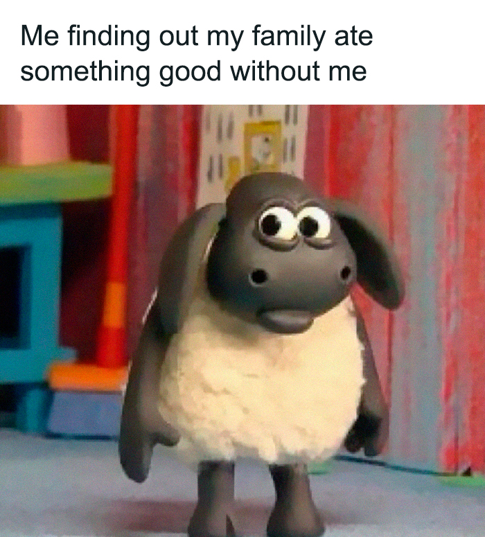 76 Relatable Female Memes That Prove We&rsquo;re All Just Trying To Figure Life Out