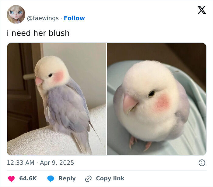76 Relatable Female Memes That Prove We&rsquo;re All Just Trying To Figure Life Out