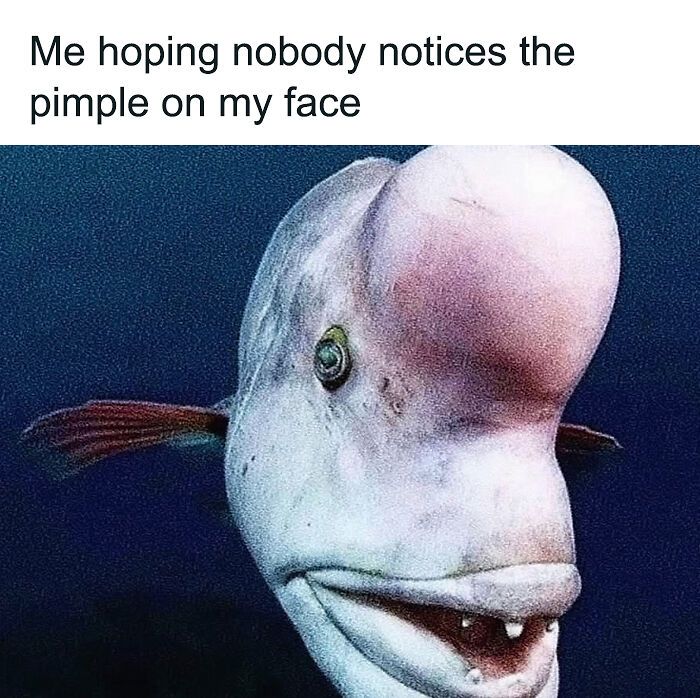 76 Relatable Female Memes That Prove We&rsquo;re All Just Trying To Figure Life Out