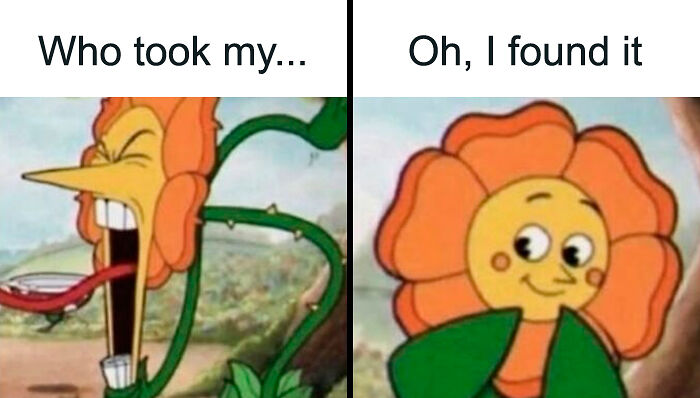 76 Relatable Female Memes That Prove We&rsquo;re All Just Trying To Figure Life Out