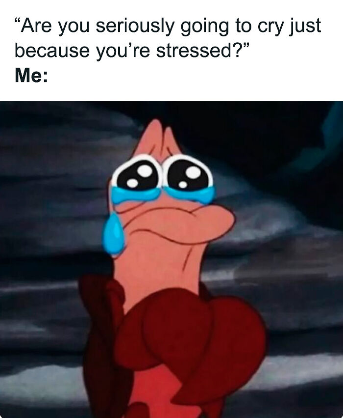 76 Relatable Female Memes That Prove We&rsquo;re All Just Trying To Figure Life Out