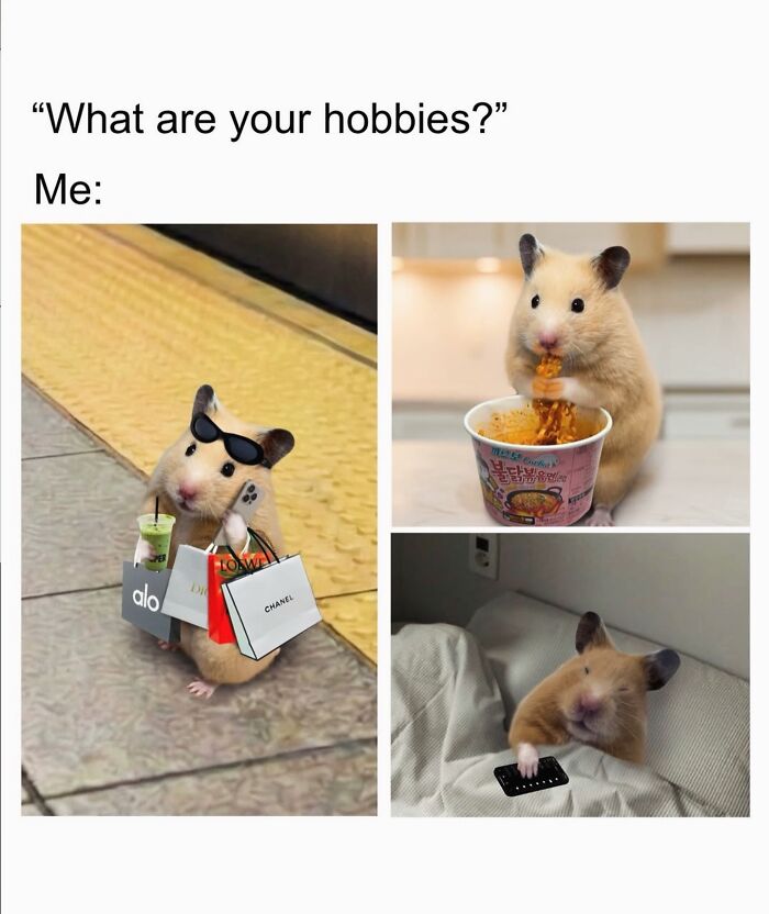 76 Relatable Female Memes That Prove We&rsquo;re All Just Trying To Figure Life Out
