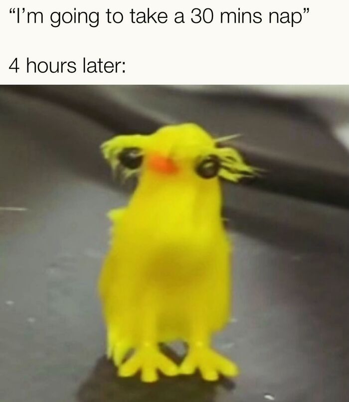 76 Relatable Female Memes That Prove We&rsquo;re All Just Trying To Figure Life Out