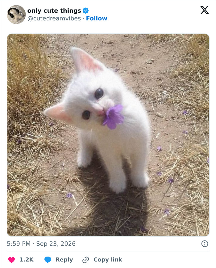 65 Adorable Posts That Might Restore Your Faith In The Little Things In Life