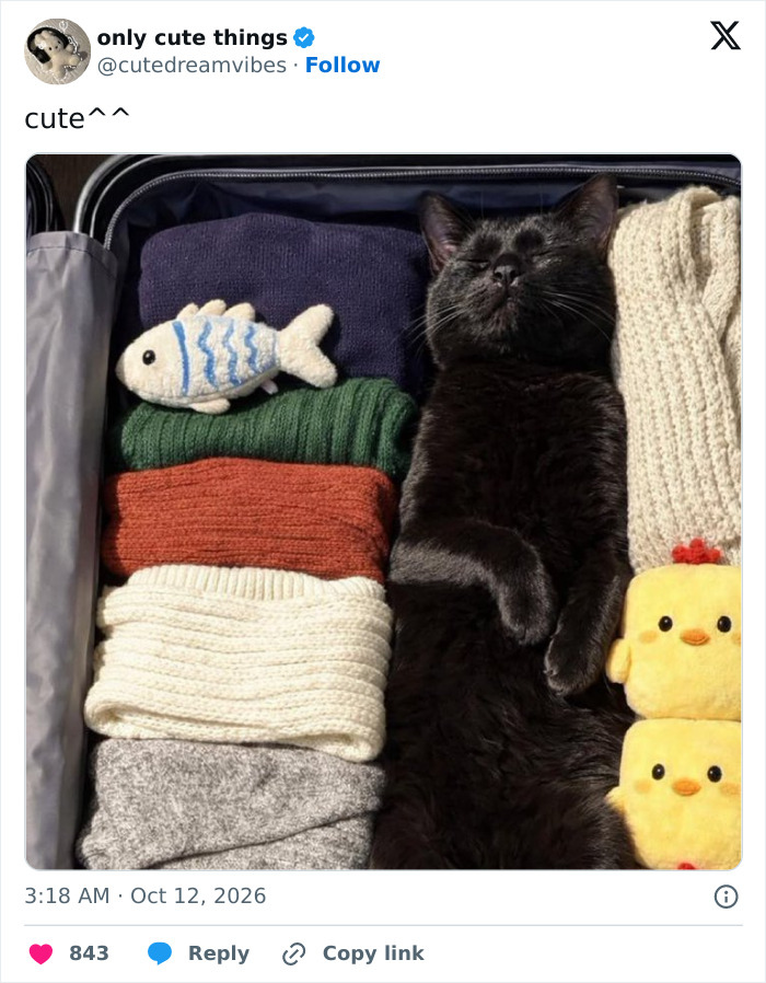 65 Adorable Posts That Might Restore Your Faith In The Little Things In Life
