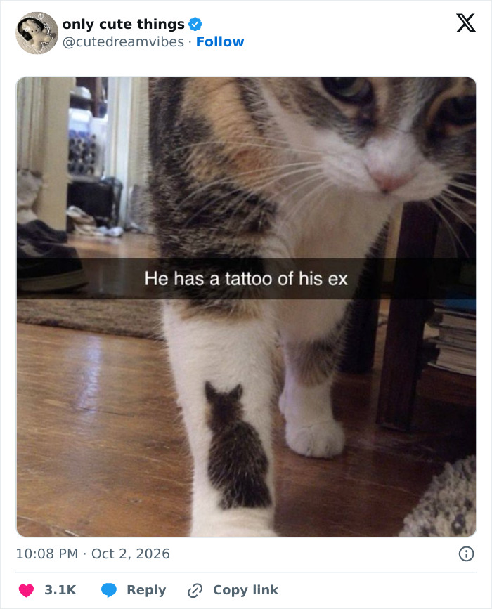 65 Adorable Posts That Might Restore Your Faith In The Little Things In Life