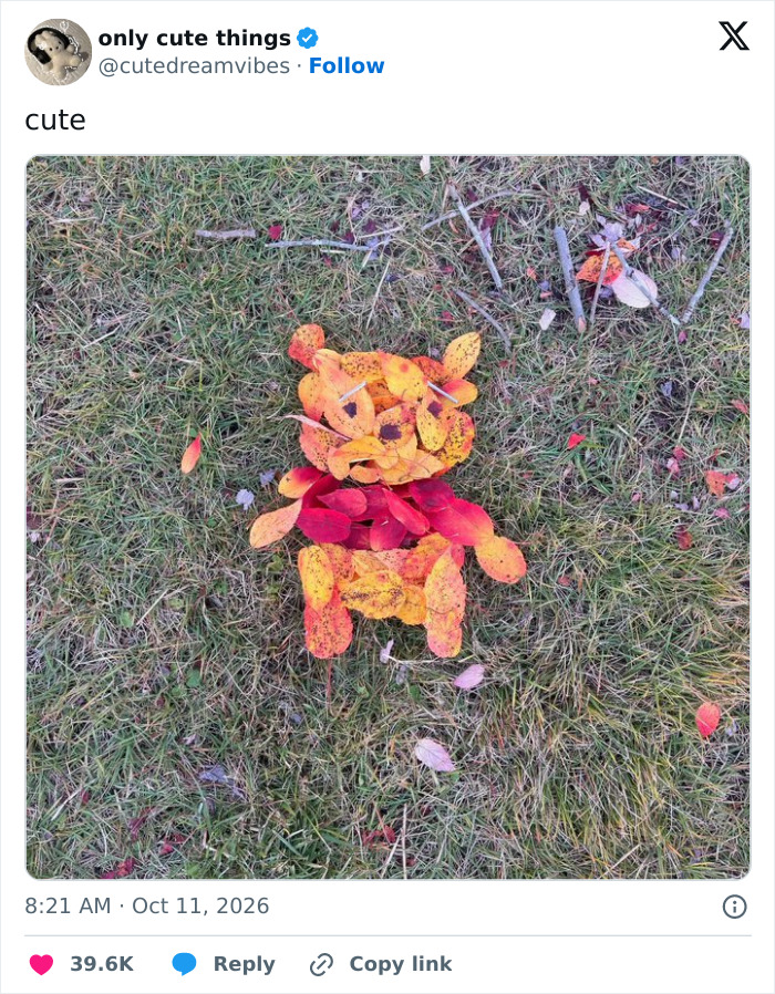 65 Adorable Posts That Might Restore Your Faith In The Little Things In Life