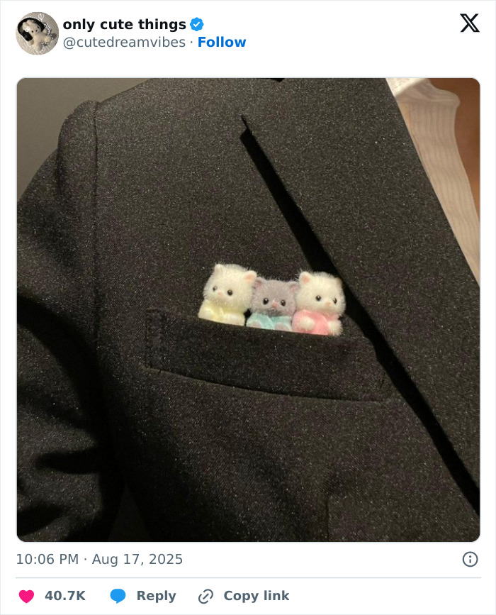 65 Adorable Posts That Might Restore Your Faith In The Little Things In Life