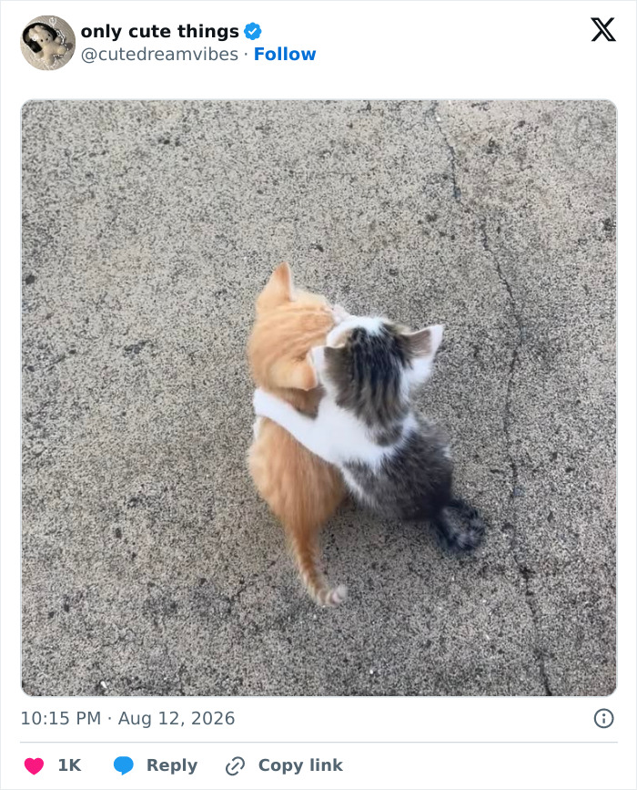 65 Adorable Posts That Might Restore Your Faith In The Little Things In Life
