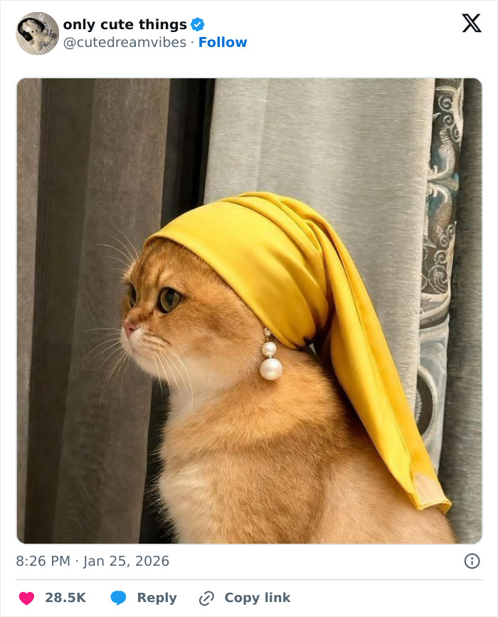 65 Adorable Posts That Might Restore Your Faith In The Little Things In Life