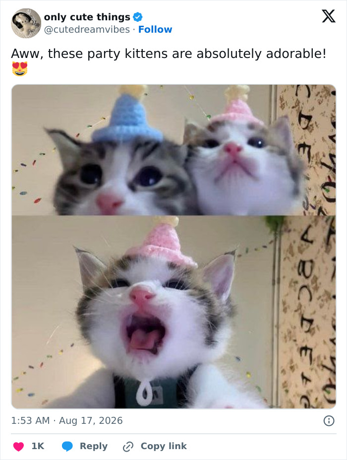 65 Adorable Posts That Might Restore Your Faith In The Little Things In Life