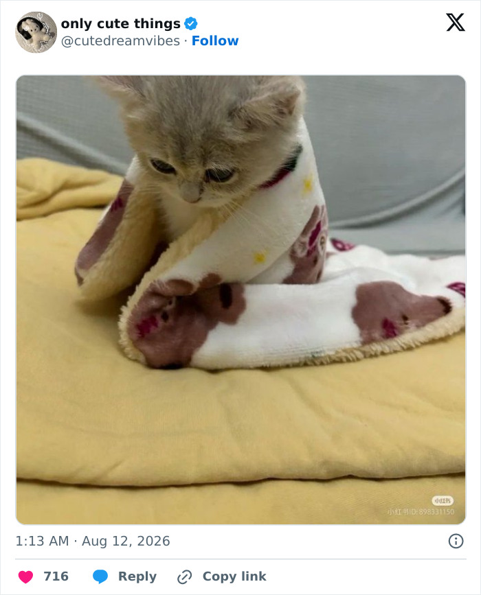 65 Adorable Posts That Might Restore Your Faith In The Little Things In Life