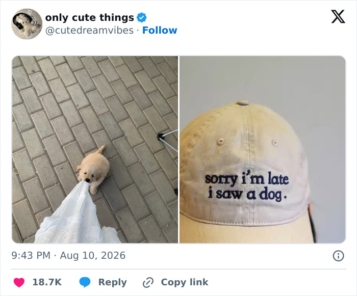 65 Adorable Posts That Might Restore Your Faith In The Little Things In Life