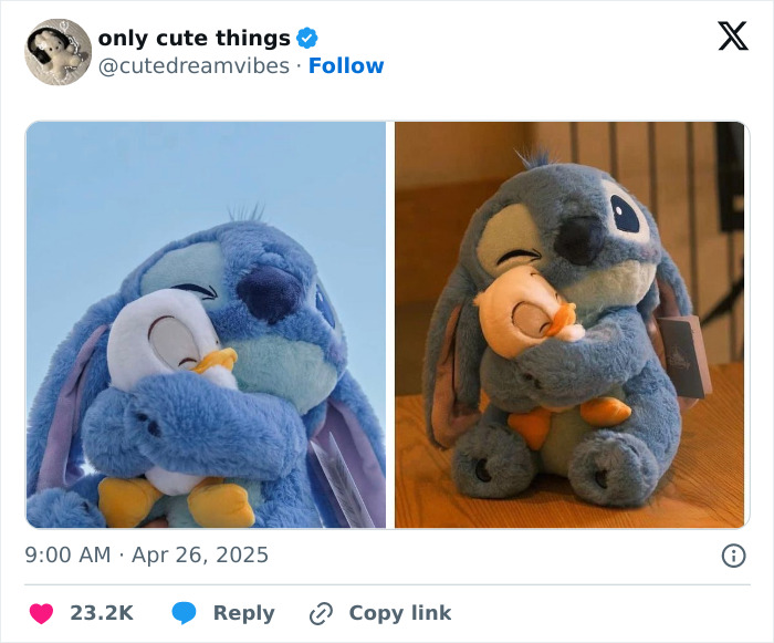 65 Adorable Posts That Might Restore Your Faith In The Little Things In Life