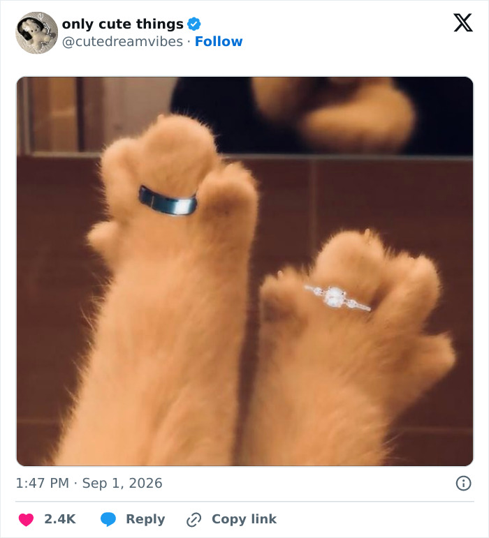 65 Adorable Posts That Might Restore Your Faith In The Little Things In Life