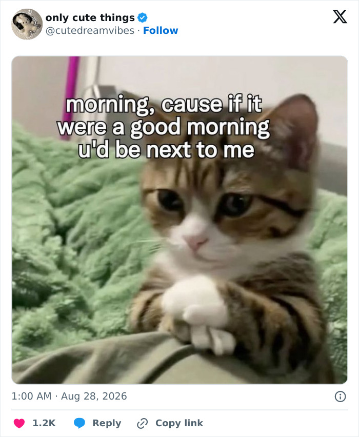 65 Adorable Posts That Might Restore Your Faith In The Little Things In Life
