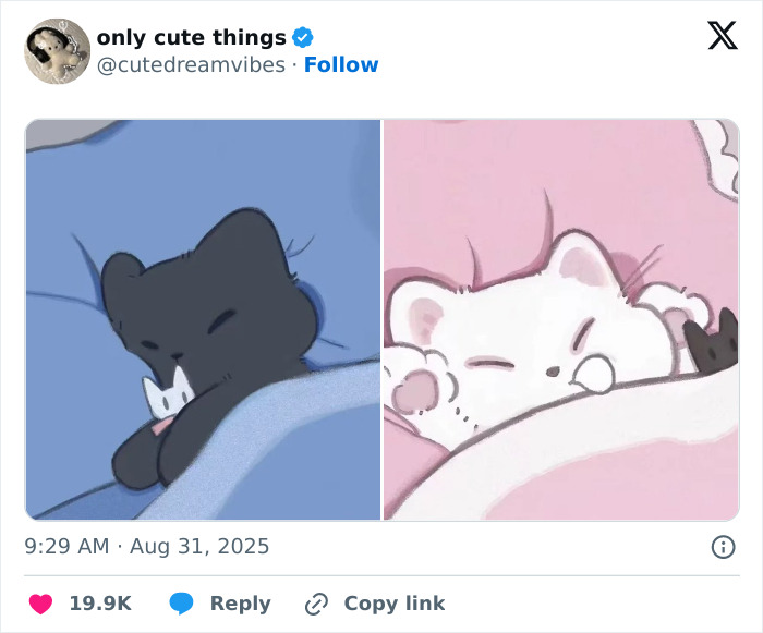 65 Adorable Posts That Might Restore Your Faith In The Little Things In Life