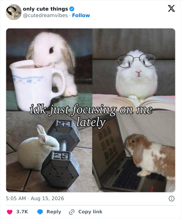 65 Adorable Posts That Might Restore Your Faith In The Little Things In Life