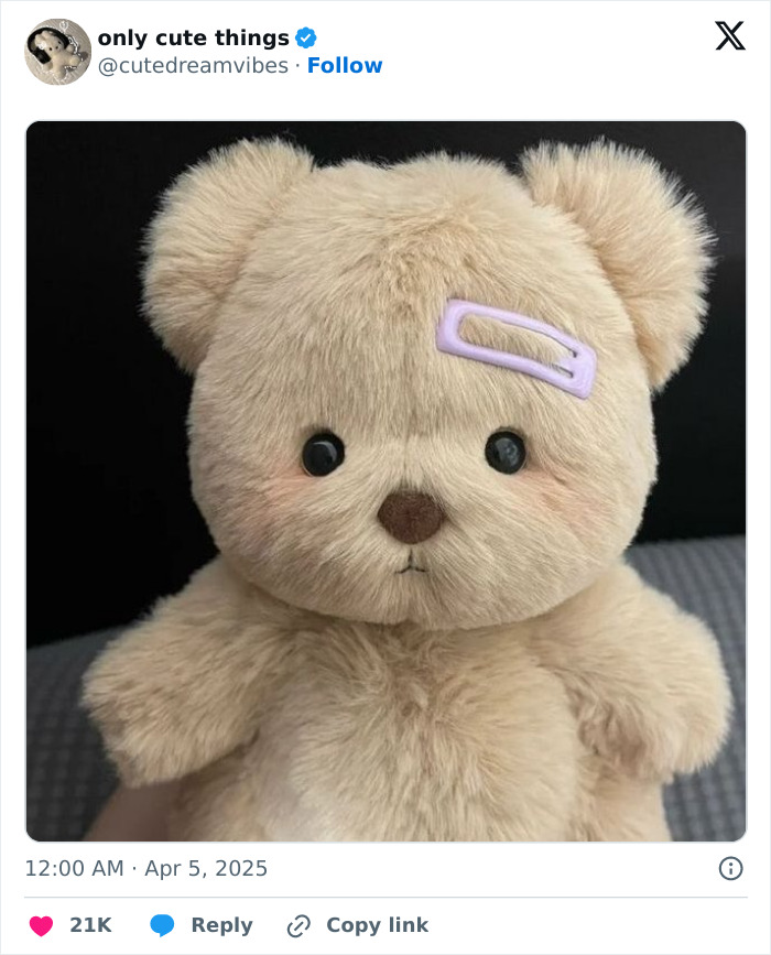 65 Adorable Posts That Might Restore Your Faith In The Little Things In Life