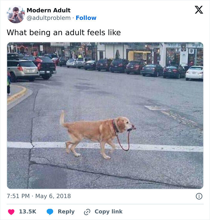 77 Painfully Accurate Memes For Anyone Who Thought Growing Up Would Be More Fun Than It Actually Is