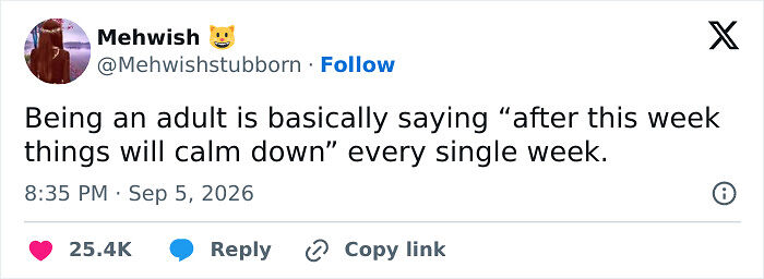 77 Painfully Accurate Memes For Anyone Who Thought Growing Up Would Be More Fun Than It Actually Is