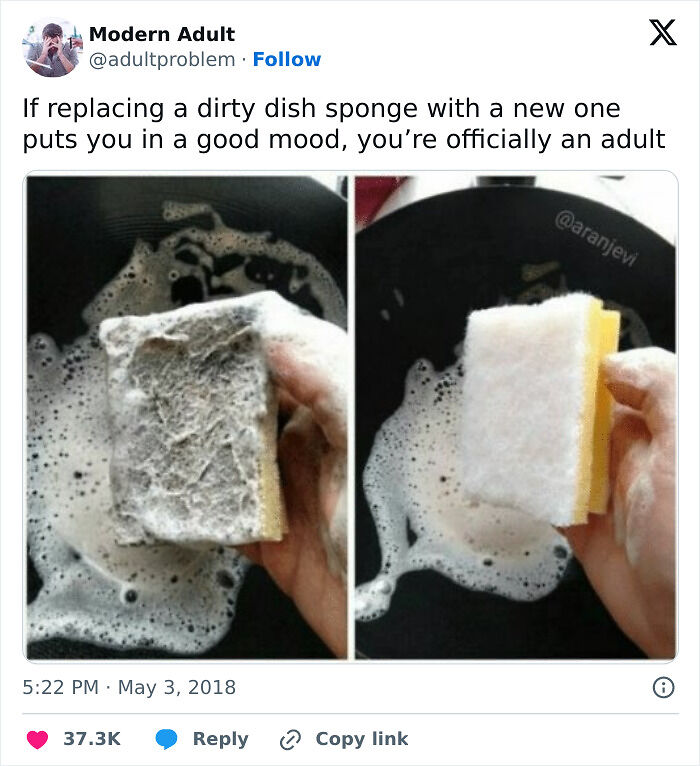 77 Painfully Accurate Memes For Anyone Who Thought Growing Up Would Be More Fun Than It Actually Is