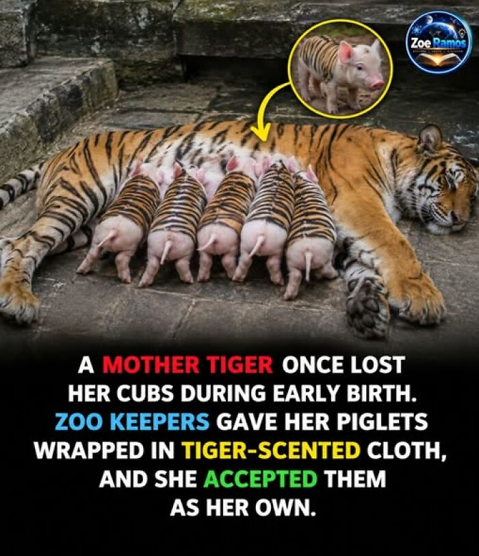 If You Enjoy Weirdness, You&rsquo;ll Probably Enjoy Learning About These 42 Facts