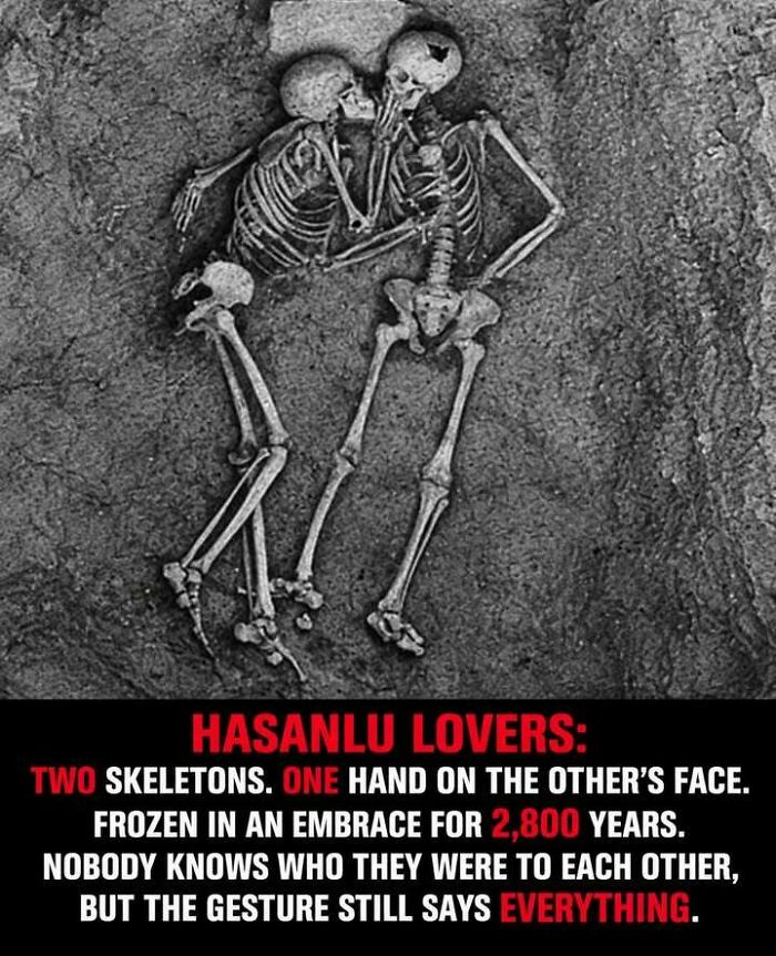 If You Enjoy Weirdness, You&rsquo;ll Probably Enjoy Learning About These 42 Facts