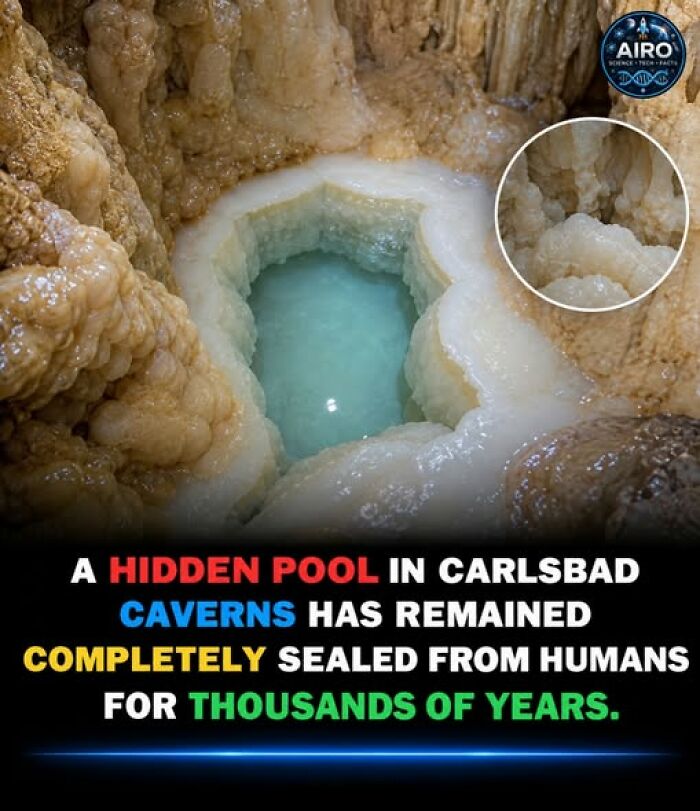 If You Enjoy Weirdness, You&rsquo;ll Probably Enjoy Learning About These 42 Facts