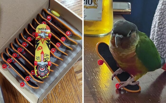 23 Halloween Treats That Aren&rsquo;t Candy But Are Still Good Enough That Nobody Will Be Mad About It