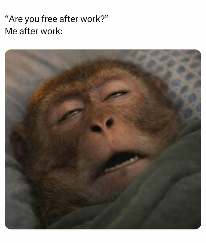 83 Memes That Are Funny Because People Find Them A Little Too Accurate To Their Lives 83 Memes That Are Funny Because People Find Them A Little Too Accurate To Their Lives