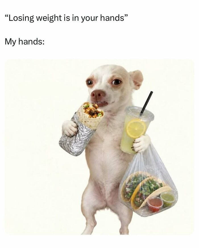 83 Memes That Are Funny Because People Find Them A Little Too Accurate To Their Lives 83 Memes That Are Funny Because People Find Them A Little Too Accurate To Their Lives