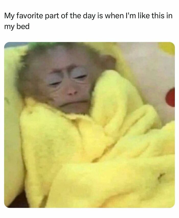 83 Memes That Are Funny Because People Find Them A Little Too Accurate To Their Lives 83 Memes That Are Funny Because People Find Them A Little Too Accurate To Their Lives