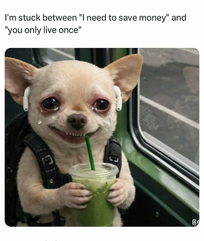 83 Memes That Are Funny Because People Find Them A Little Too Accurate To Their Lives 83 Memes That Are Funny Because People Find Them A Little Too Accurate To Their Lives