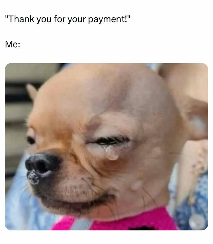 83 Memes That Are Funny Because People Find Them A Little Too Accurate To Their Lives 83 Memes That Are Funny Because People Find Them A Little Too Accurate To Their Lives