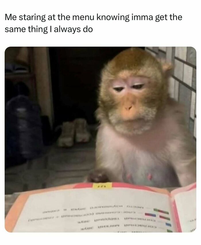 83 Memes That Are Funny Because People Find Them A Little Too Accurate To Their Lives 83 Memes That Are Funny Because People Find Them A Little Too Accurate To Their Lives