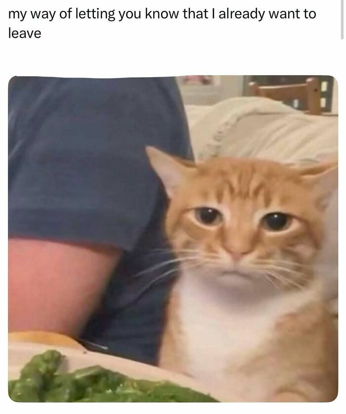 83 Memes That Are Funny Because People Find Them A Little Too Accurate To Their Lives 83 Memes That Are Funny Because People Find Them A Little Too Accurate To Their Lives