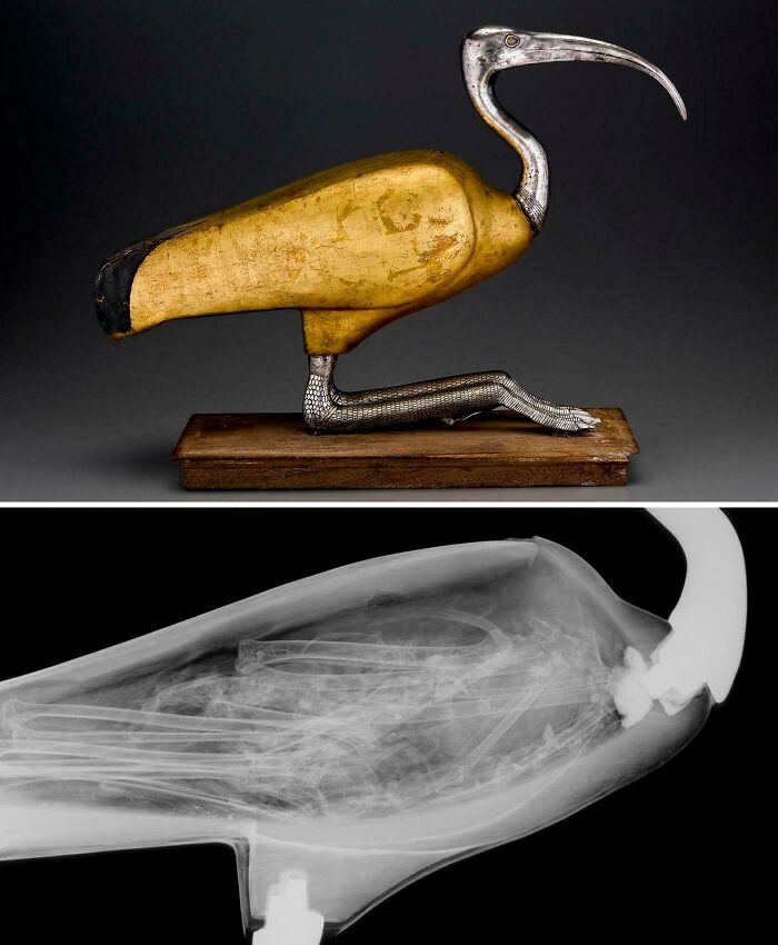 63 Interesting, Strange And Even Creepy Discoveries And Artifacts 63 Interesting, Strange And Even Creepy Discoveries And Artifacts