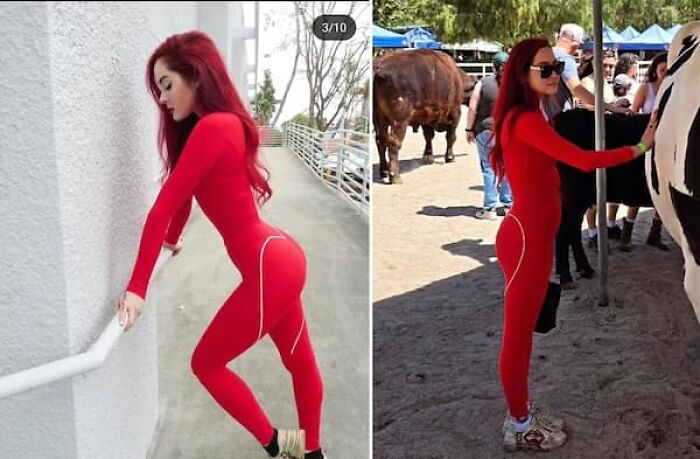 85 Edited Photos So Ridiculous They&rsquo;re Hard To Look At With A Straight Face