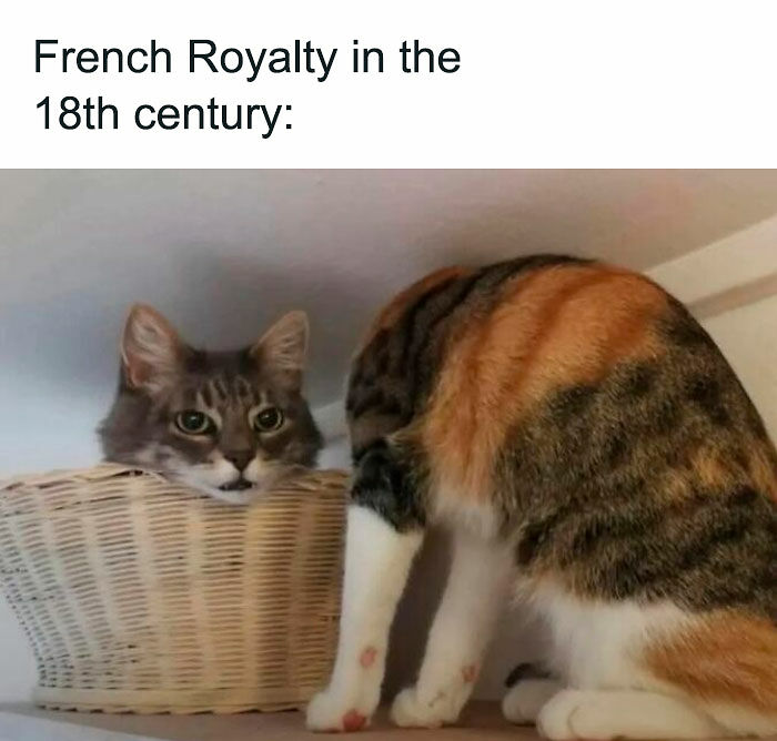 60 Hilarious History Memes That Make The Past Much Funnier Than It Was 60 Hilarious History Memes That Make The Past Much Funnier Than It Was