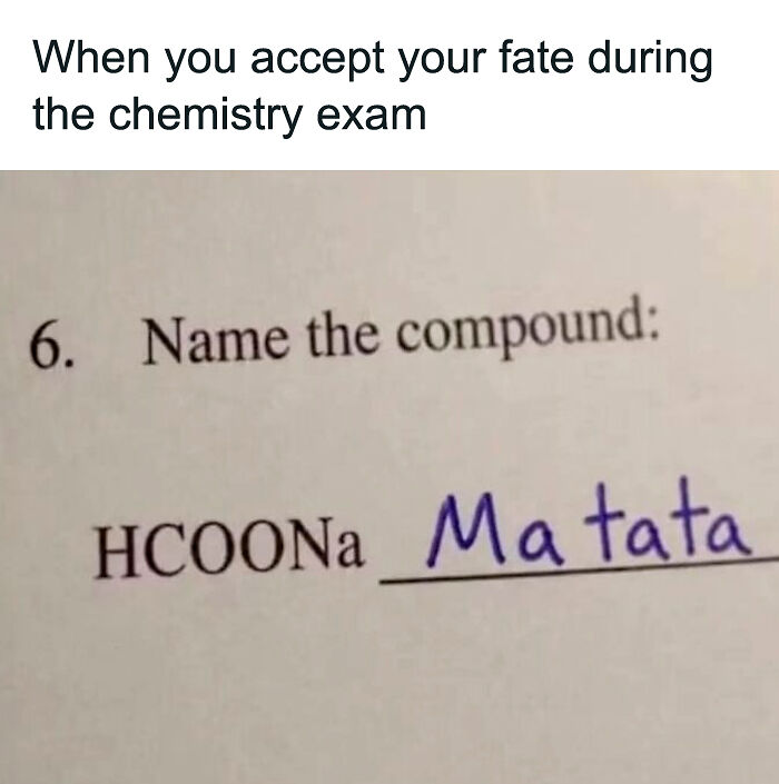 62 Random Memes That Have Absolutely No Agenda But To Make You Laugh Today 62 Random Memes That Have Absolutely No Agenda But To Make You Laugh Today