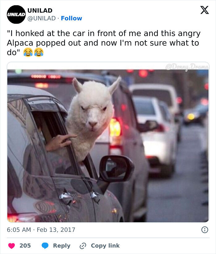 62 Random Memes That Have Absolutely No Agenda But To Make You Laugh Today 62 Random Memes That Have Absolutely No Agenda But To Make You Laugh Today