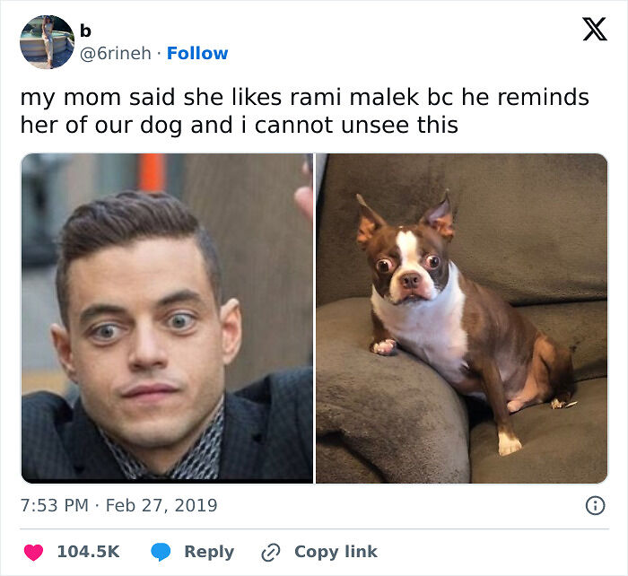 62 Random Memes That Have Absolutely No Agenda But To Make You Laugh Today 62 Random Memes That Have Absolutely No Agenda But To Make You Laugh Today