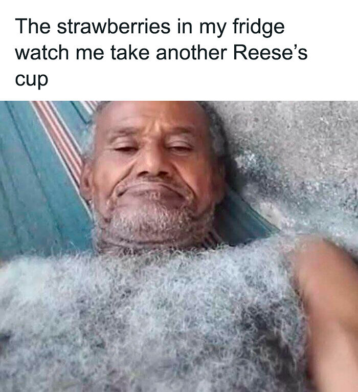 62 Random Memes That Have Absolutely No Agenda But To Make You Laugh Today 62 Random Memes That Have Absolutely No Agenda But To Make You Laugh Today